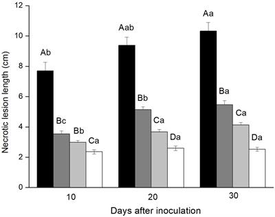 Bark Beetle-Associated Blue-Stain Fungi Increase Antioxidant Enzyme Activities and Monoterpene Concentrations in Pinus yunnanensis